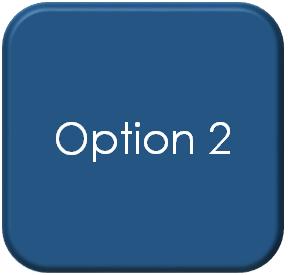option 2