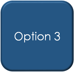 option 3